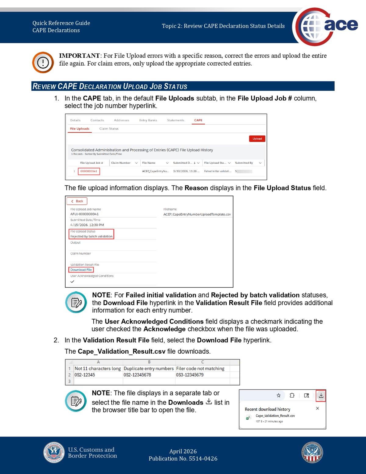 ACE CAPE file upload job screen showing validation result file download for troubleshooting rejected entries
